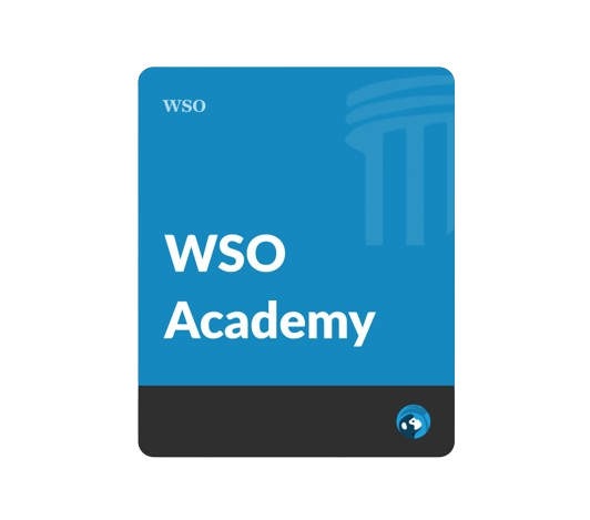 WSO Academy