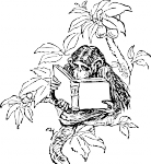 oiuy