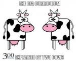 The CFA Curriculum, As Explained by Two Cows