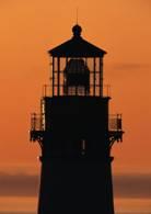 AGF Search, LLC AGF Search, LLC