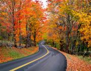 Autumn-Road-large.jpg Autumn-Road-large.jpg
