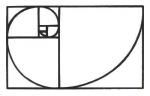 FIBONACCI-SPIRAL-drawing-GT-.jpg