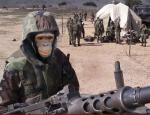 MilitaryChimp