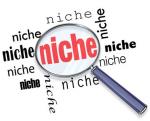 Find Your Niche