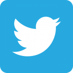 Twitter Bird