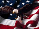 U.S.A..JPG