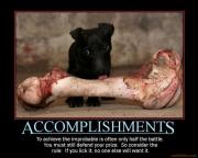 accomplishments.jpg