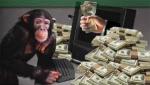 monkey money