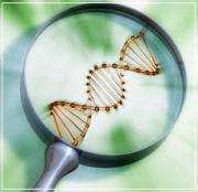Biotechnology