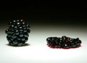 crushed blackberry crushed blackberry