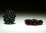 crushed blackberry