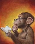 book_monkey_web.jpg