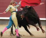 bullfight.jpg