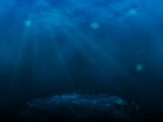 Dark Pools