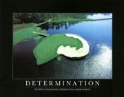 Determination Determination