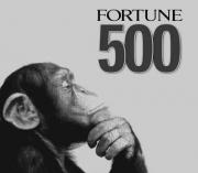 f500monkey.jpg