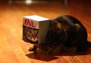 fail.jpg