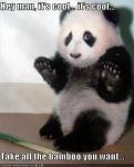 panda