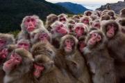 group-of-finance-professionals.jpg