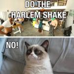 Grumpy Cat Hates the Harlem Shake