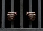 hands-bar_op_800x585.jpg