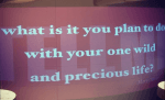 hbs.png