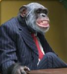 Help an inexperienced monkey.
