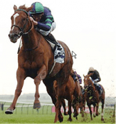horse2.png