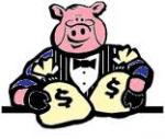 pig