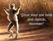 jennifers-dancing-monkey.jpg