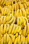 many-bananas-17529197.jpg