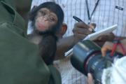 monkey-interview.jpg