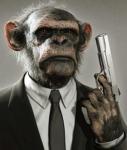 monkey-moderators.JPG
