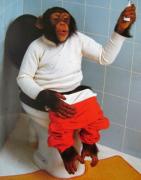 monkey-poop.jpg