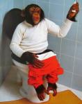 monkey-poop.jpg