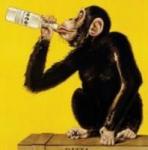 monkey.JPG