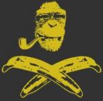 monkey.jpg