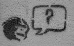 monkey_question_mark.jpg