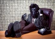 monkeybusiness.JPG