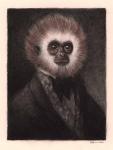 monkeysuit.jpg