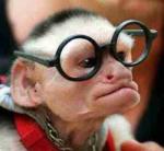nerdmonkey.jpg