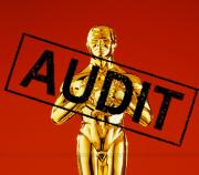 Non-Financial Audits Non-Financial Audits