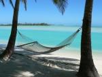 palme-palmen-insel-strand-urlaub-reise-haengematte.jpg