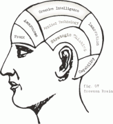 pic-sm-intelligence.gif pic-sm-intelligence.gif