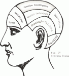 pic-sm-intelligence.gif