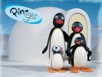 pingu.jpg