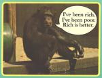 rich_poor_chimp.jpg