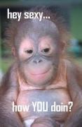 MONKEY!