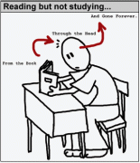 studying.gif
