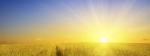 Brighter Tomorrow